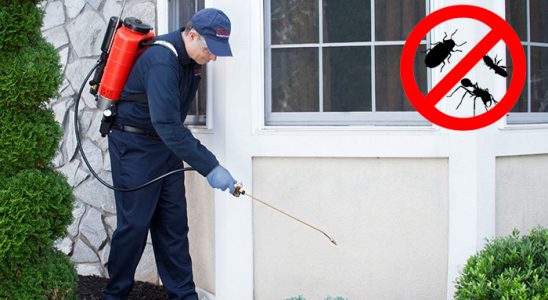 Merkezefendi Gümüşkurt İlaçlama böcek ilaçlama ve haşere kontrolü — ilaclama-tr.com